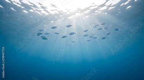 Fish gliding beneath sunlit ocean surface