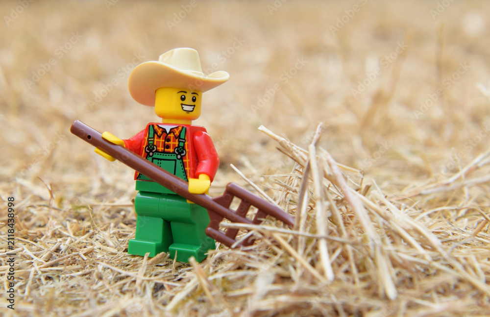 Fototapeta premium Lego minifigure of happy farmer with pitchfork or hayfork is doing in the natural dried grass field. Editorial illustrative image of popular plastic toy.