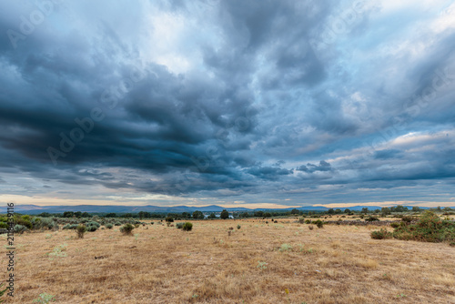 Landscape next to the Valparaíso Reservoir, Zamora, Castile and León, Spain.