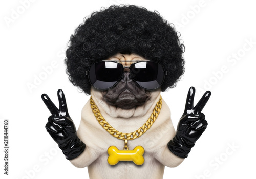 photorealistic pug in a synthetic afro, massive aviators, gold cuban chain, and leather gloves, flashing a peace sign on a platinum gray cyclorama, high-fidelity 70s disco humor concept