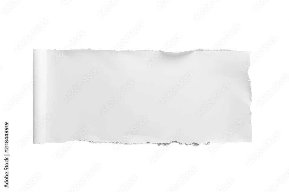 Fototapeta premium Long rolled white paper strip with torn edges isolated on transparent background