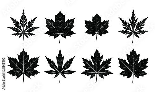Set of eight black silhouette maple leaves isolated on a white background for autumn design