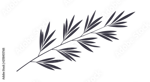 Minimalist drawing of a long thin branch with many small narrow leaves in dark gray ink on a white background for nature design.