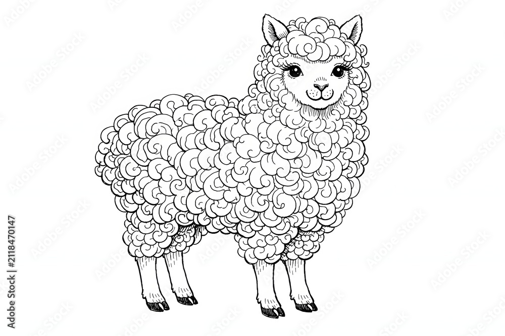 Fototapeta premium Charming line art drawing of a fluffy cute alpaca standing on a white background. High quality animal graphic ideal for farm theme artwork, coloring books, and craft print projects.