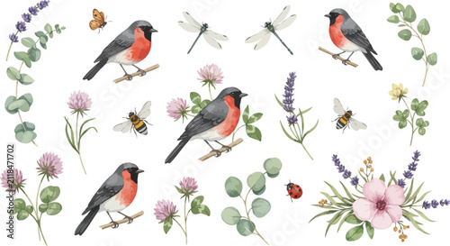 A beautiful watercolor collection featuring small birds with red chests surrounded by delicate wildflowers lavender sprigs dragonflies and bees on white background
