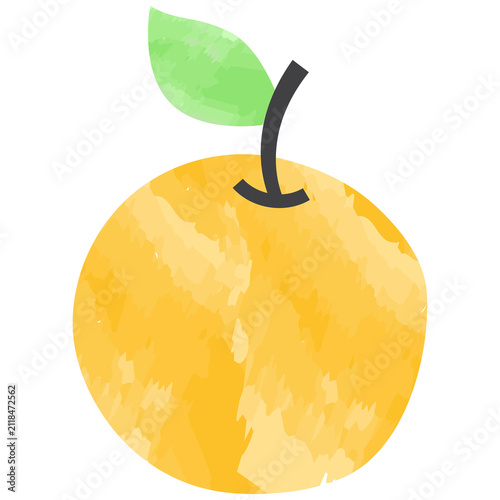 Watercolor Illustration of a Yellow Orange Fruit