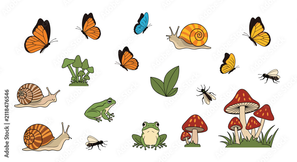 Obraz premium Cute collection of forest wildlife and nature elements including colorful butterflies, snails, frogs, and mushrooms.