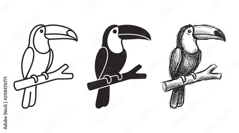 Obraz premium Three toucan icons, each perched on a branch, presented in outline, solid silhouette, and hand-drawn sketch styles, on white
