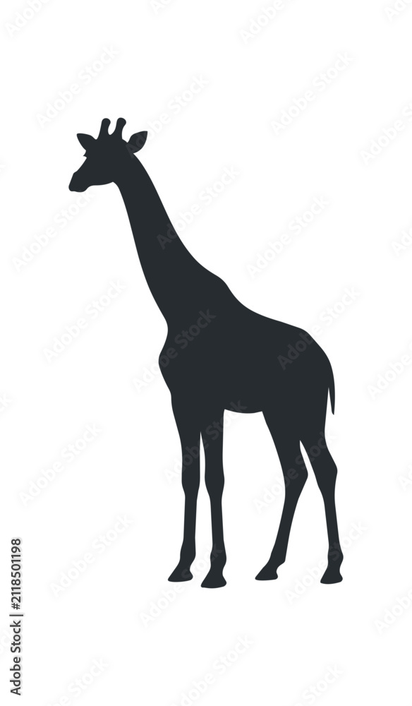 Fototapeta premium Silhouette of a Giraffe Standing Tall Against White Background.