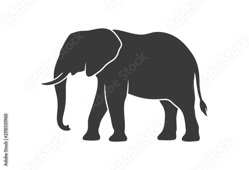 Obraz na plátně Silhouette of an African Elephant Walking Gracefully.
