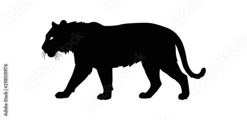 Silhouette of a majestic black panther walking with intense eyes.