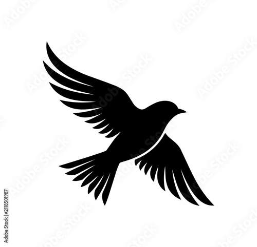 Silhouette of a bird in flight with wings spread wide.