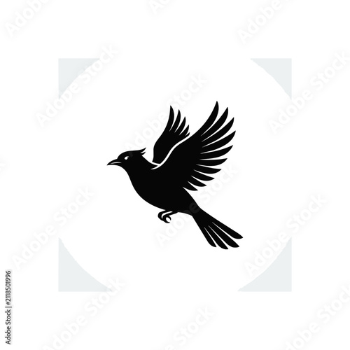 Silhouette of a Bird in Flight with Wings Spread.