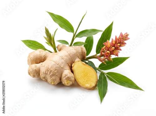 Fresh Ginger Root with Ginger Flower Isolated on White