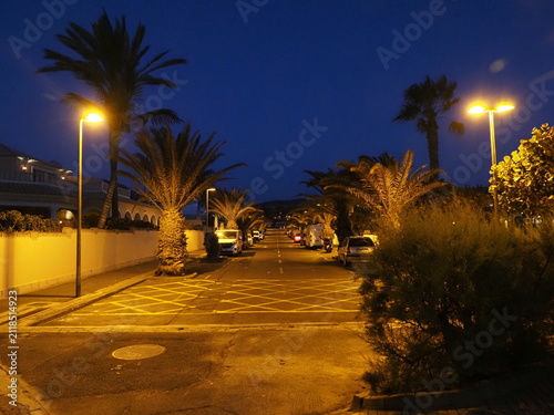 Perspective view of a coastal road under dark blue night sky with bright lamps