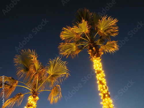 Low angle view of tall palm trees decorated with golden fairy lights at night