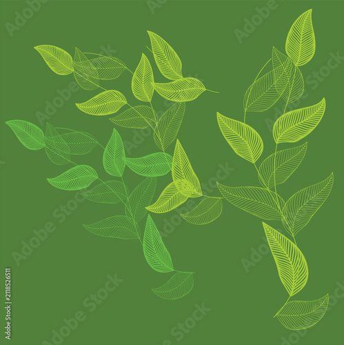 seamless background with leaves vector  wallpaper design 