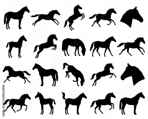 Canvas Print vector silhouettes of horses
