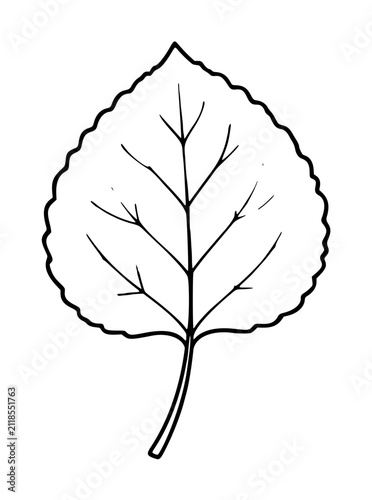 Bild auf Leinwand Hand-traced vector illustration of a single aspen leaf with delicate vein lines, decorative botanical line art icon for nature, autumn, and plant-themed graphic design projects