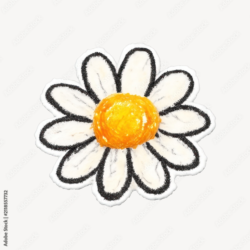 Fototapeta premium Hand-drawn daisy flower illustration.