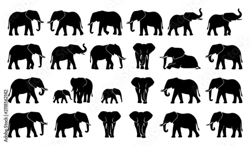 Fotografie African elephant silhouette vector set with realistic wildlife herd animals in s
