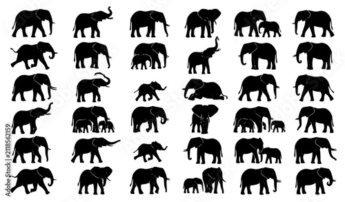 Photography Realistic black African elephant silhouette collection with safari wildlife vect