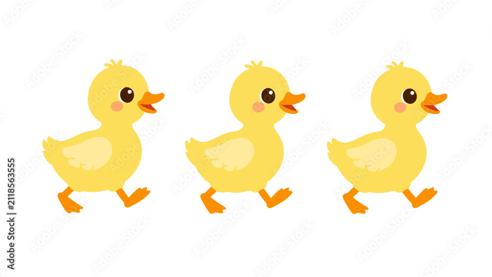 Naklejka premium Three cute yellow ducklings walking in a row on white