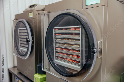 Canvastavla Stainless steel freeze dryers process sliced fruits and vegetables on stacked tr