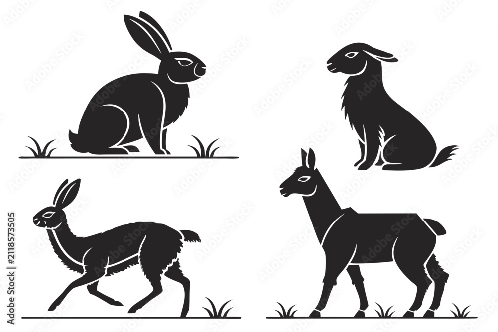 Fototapeta premium Four black and white animals sitting and standing on grass