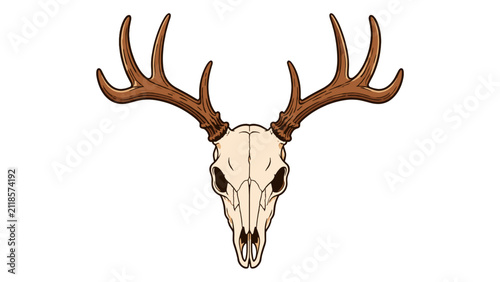 Quadro su tela Deer skull with large antlers isolated on white background
