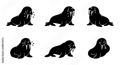 Bild auf Leinwand Set of Six Black Silhouette Walrus Illustrations, Arctic Marine Mammal Icons, Cu