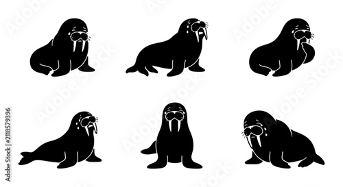 Bild auf Leinwand Six Silhouette Walrus Icons, Arctic Marine Mammal Vector Set, Simple Black and W
