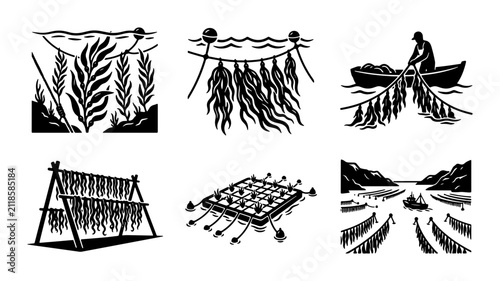 Canvastavla Seaweed Farming Vector Icons: Ocean Harvest, Drying Racks, Aquaculture Systems,