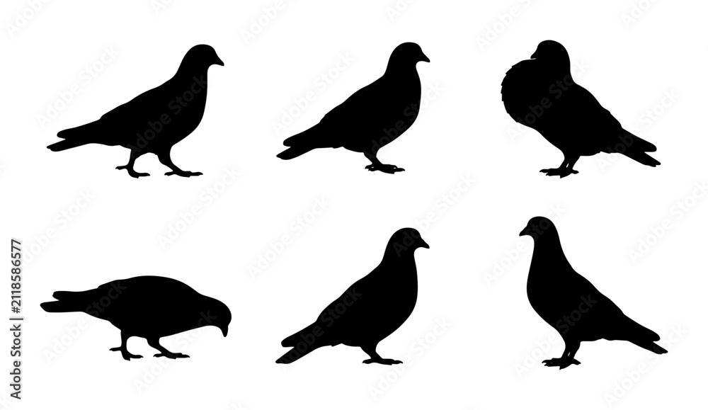 Fototapeta premium Pigeon Silhouettes Collection, Six Black Bird Icons, Urban Wildlife Vector Graphics, Simple Animal Shapes for Design