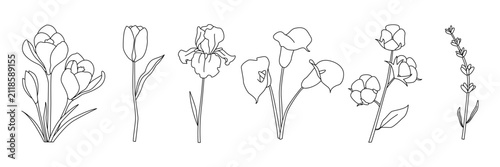 Foto Minimalist line art of crocus, tulip, iris, calla lily, rose, and lavender flowe