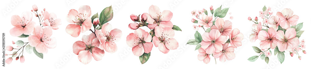 Naklejka premium PNG Delicate watercolor cherry blossoms illustration on transparent background