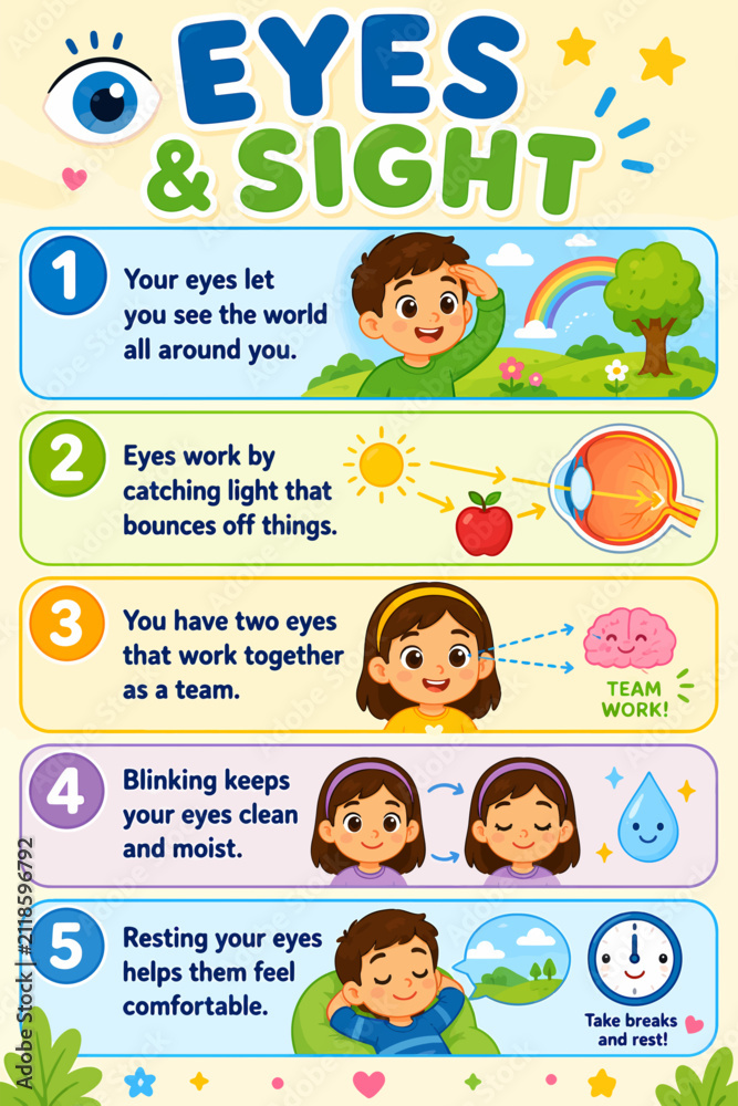 Fototapeta premium eye, sight, infographic, kids, vision, eye anatomy, light, blinking, human body, education poster, children, rainbow, teamwork, brain, tear, rest, screen break, senses, biology, health, classroom post