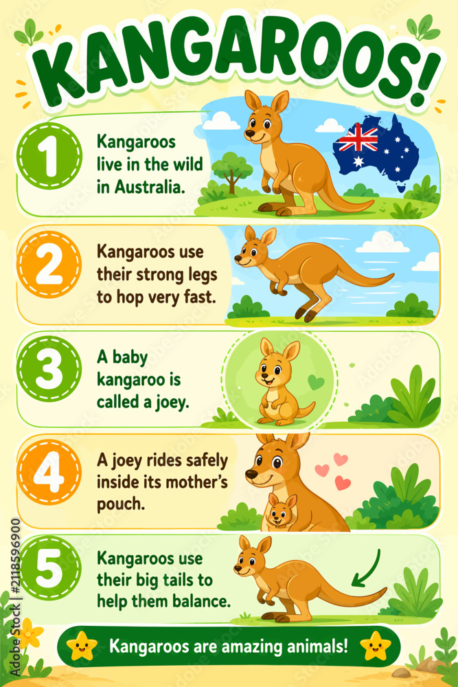 Fototapeta premium Cartoon infographic poster about kangaroos for children, with five numbered facts on living in Australia, hopping, joeys, the mother's pouch and balancing with tails.
