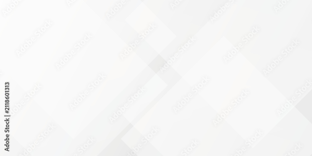 Fototapeta premium Abstract white and gray on silver background light modern design eps10.
