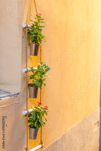 Fotografía Hanging potted plants decorating an old Tuscan wall