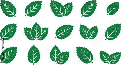 Fotografía Green mint leaves, fresh organic peppermint sprigs, herbal spearmint foliage ico