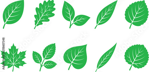 Green leaf icons, oak maple tree leaves, organic foliage plant shapes, nature eco botanical graphics, spring garden design elements