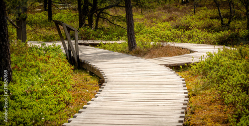 wooden boardwalk in the Black Moor in the Rhön region