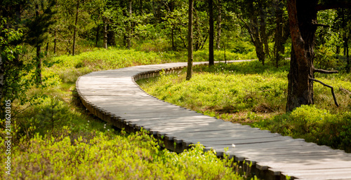 wooden boardwalk in the Black Moor in the Rhön region