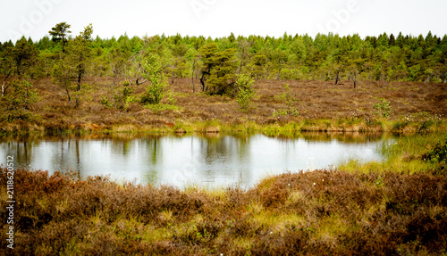 large bog pool in the Black Moor in the Rhön Mountains