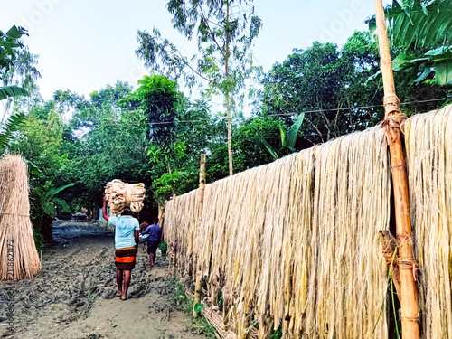 Jute Workers carry jute in the village road.  Jute is called the golden fiber of Bangladesh.