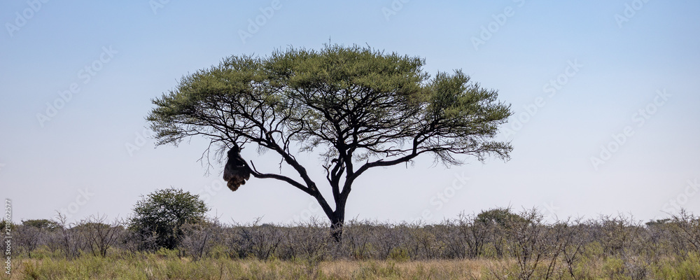 Obraz premium African wildlife gathering at a waterhole in Etosha National Park, Namibia. Elephants, zebras, giraffes and antelopes in their natural habitat under the African sky.
