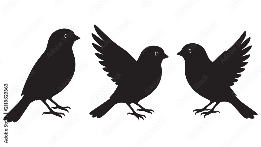 Fototapeta premium Black Silhouette Birds Illustration Set of Three in Different Poses for Design, Logo, Branding, and Nature Projects