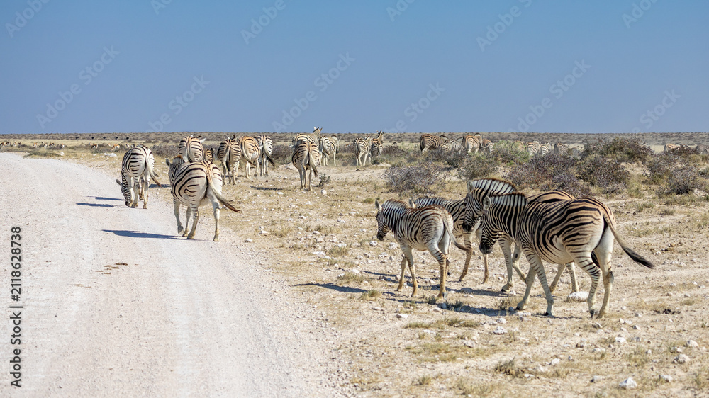 Obraz premium African wildlife gathering at a waterhole in Etosha National Park, Namibia. Elephants, zebras, giraffes and antelopes in their natural habitat under the African sky.