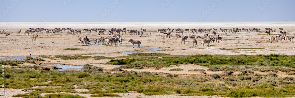 Obraz premium African wildlife gathering at a waterhole in Etosha National Park, Namibia. Elephants, zebras, giraffes and antelopes in their natural habitat under the African sky.